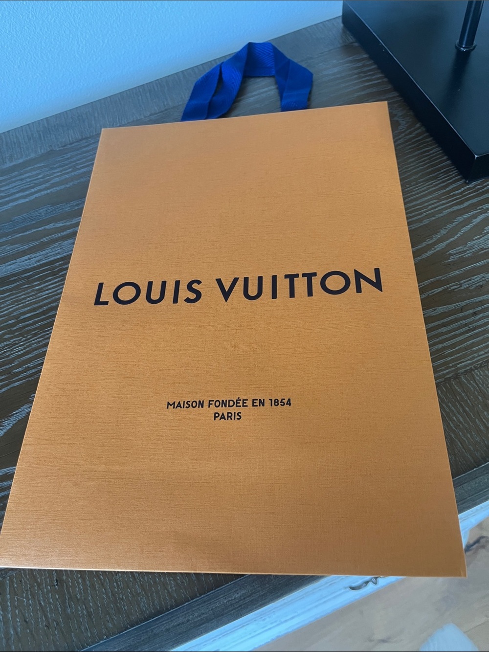 Louis Vuitton Gift Bag